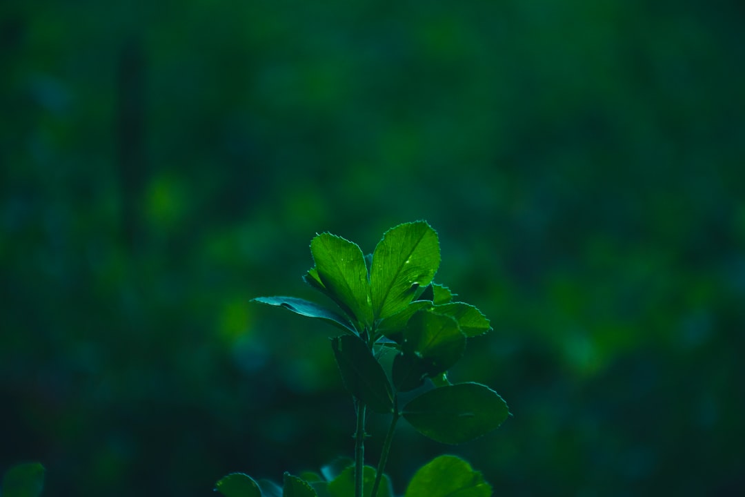 益智玩具材质安全标准与选购质量管控要点分析